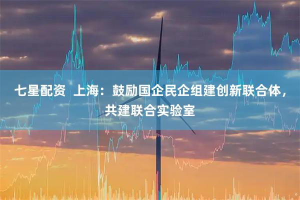 七星配资  上海：鼓励国企民企组建创新联合体，共建联合实验室