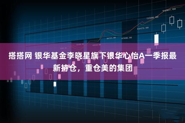 搭搭网 银华基金李晓星旗下银华心怡A一季报最新持仓，重仓美的集团
