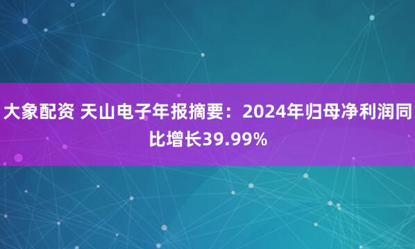 大象配资 天山电子年报摘要：2024年归母净利润同比增长39.99%
